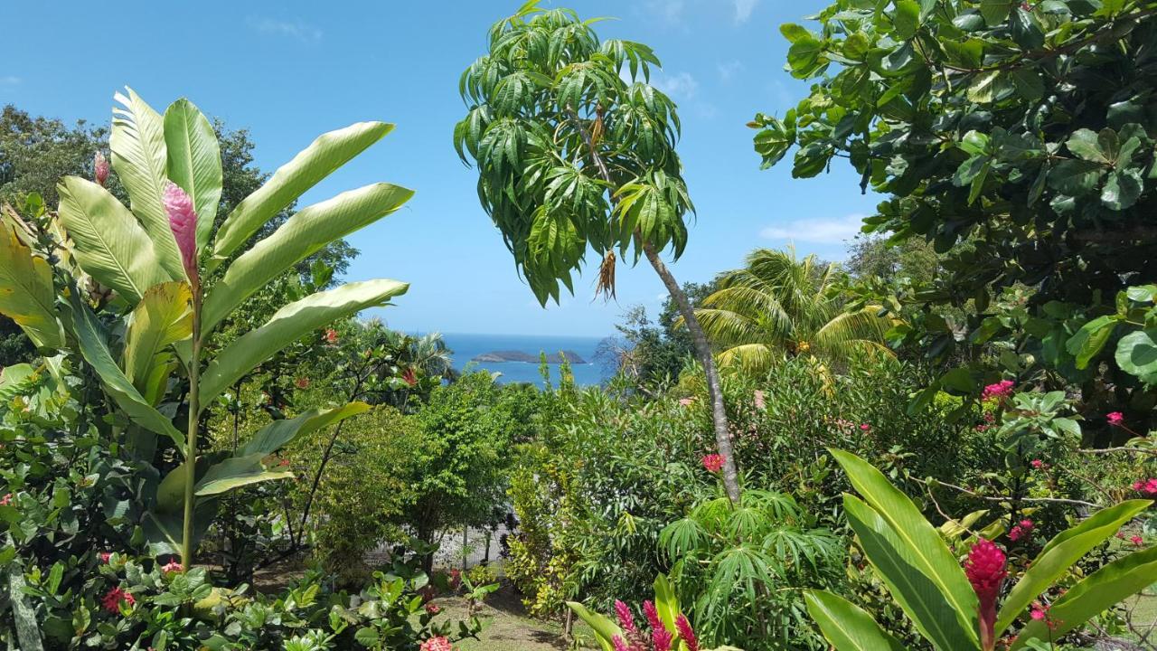 Vacances Bien Etre Guadeloupe Bouillante Exterior foto